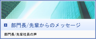 部門長/先輩社員の声